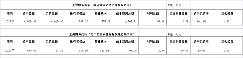 海口公交集團(tuán)及下屬各子公司2022年度信息公開財務(wù)主要指標(biāo)明細(xì)2_副本.png